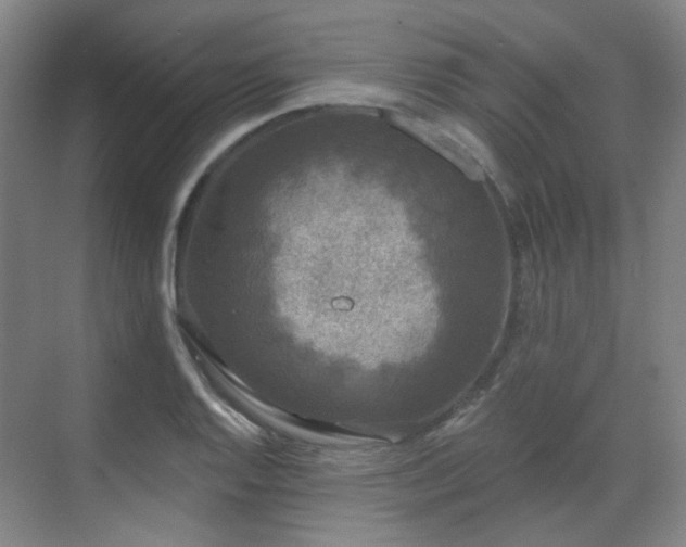 X0000070241128200606091328