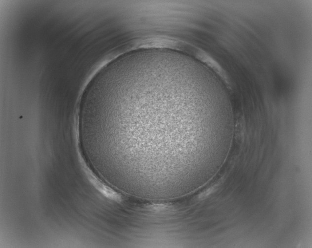 X0000070241130200606091328