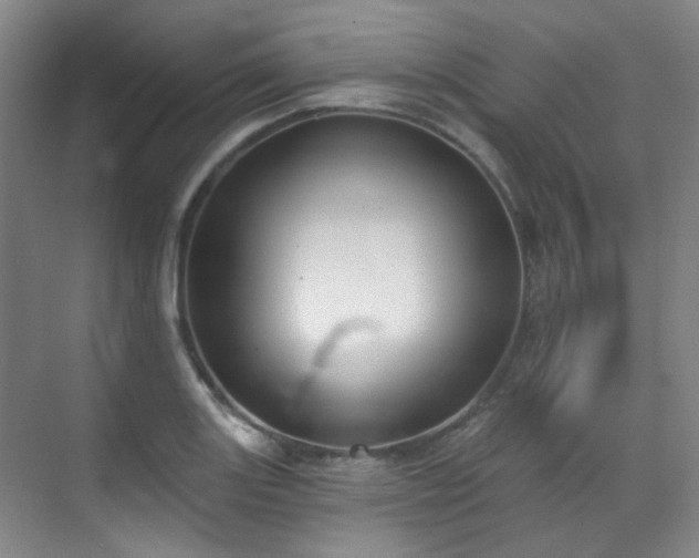 X0000070241131200606091328