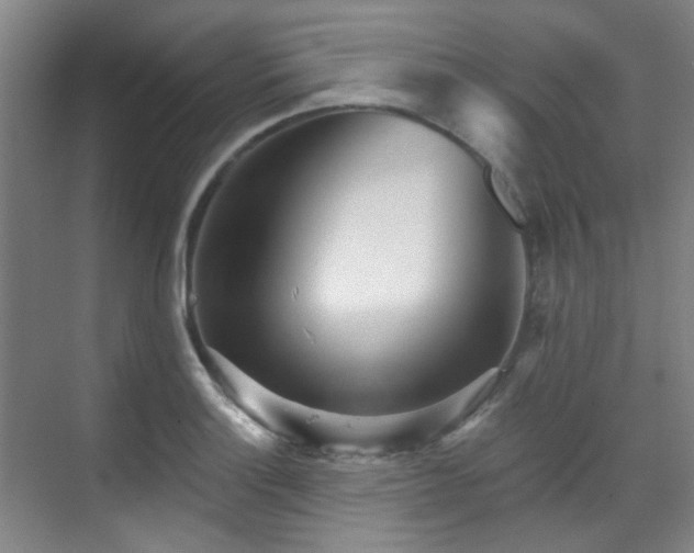 X0000070241132200606091328