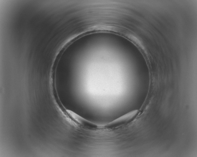 X0000070241133200606091328