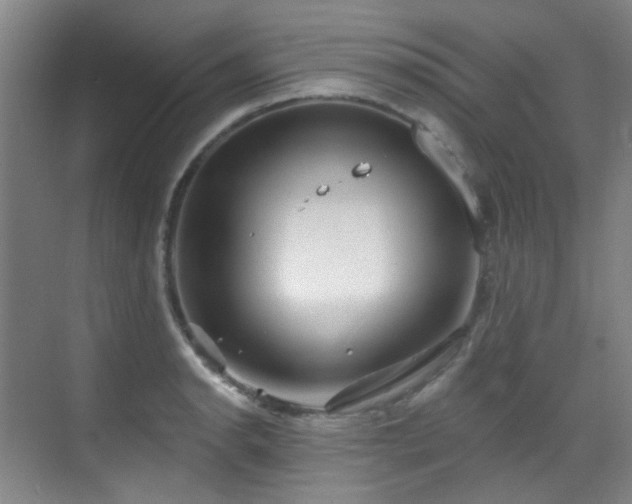 X0000070241134200606091328