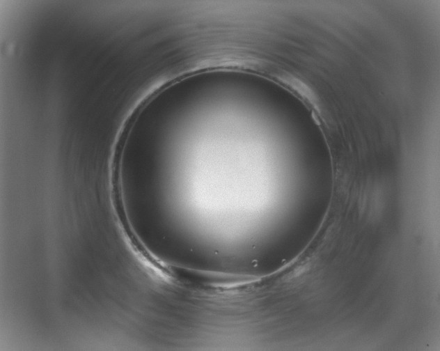 X0000070241135200606091328