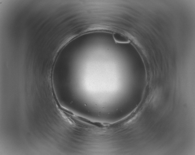 X0000070241137200606091328