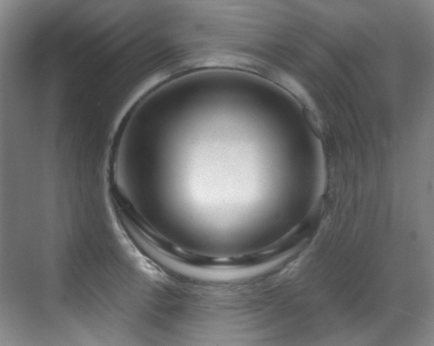 X0000070241138200606091328