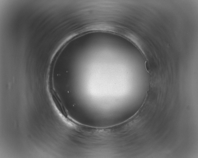 X0000070241139200606091328