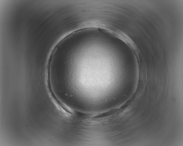 X0000070241144200606091328