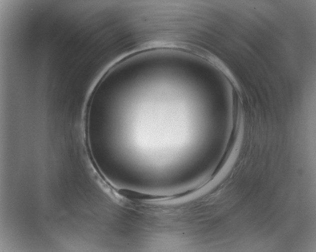 X0000070241148200606091328