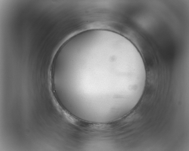 X0000070241150200606091328