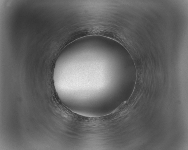 X0000070241153200606091327