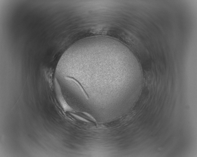 X0000070241154200606091327