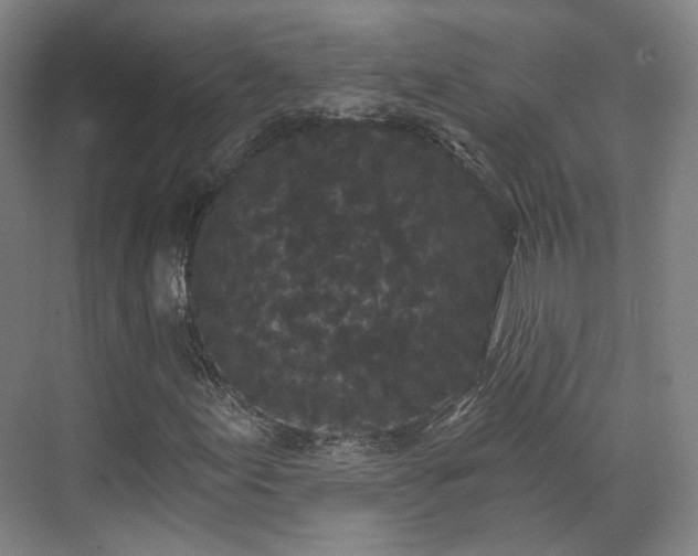 X0000070241155200606091327