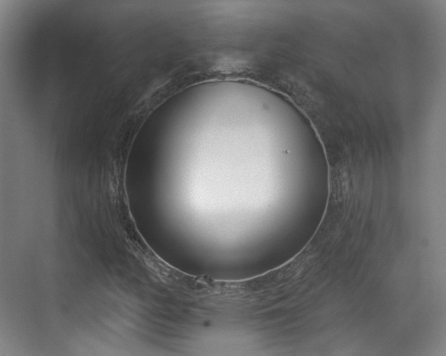 X0000070241158200606091327