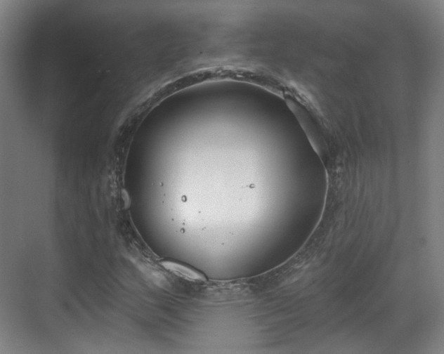 X0000070241159200606091327