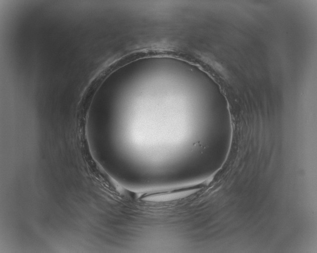 X0000070241160200606091327