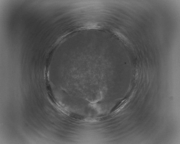 X0000070241161200606091327