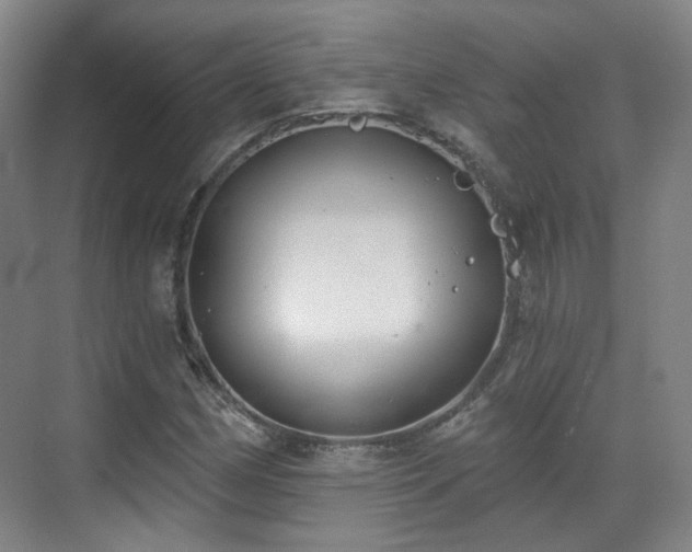 X0000070241162200606091327