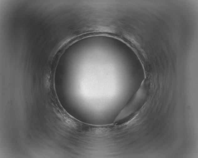 X0000070241163200606091327