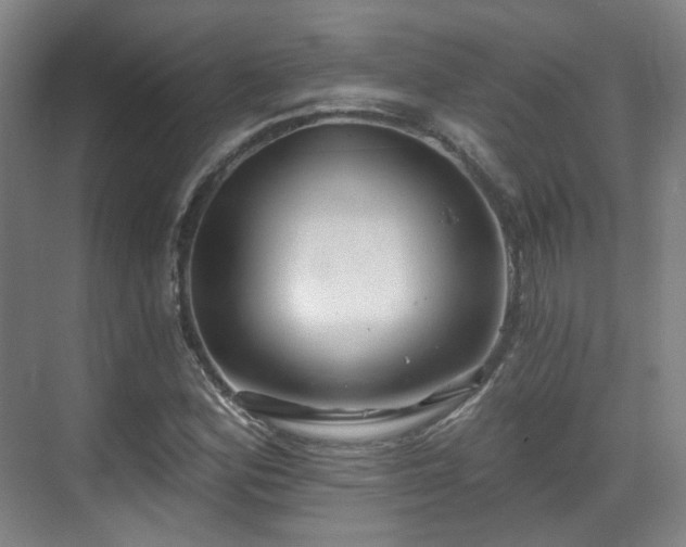 X0000070241164200606091327