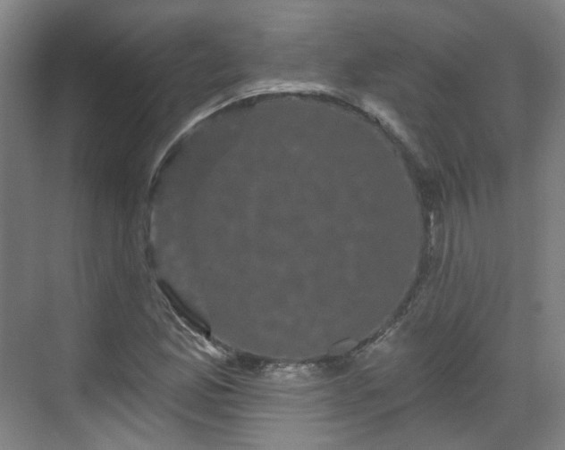 X0000070241165200606091327