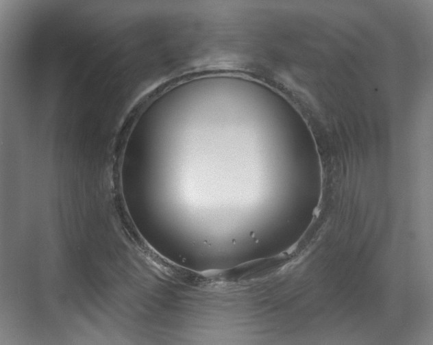 X0000070241166200606091327