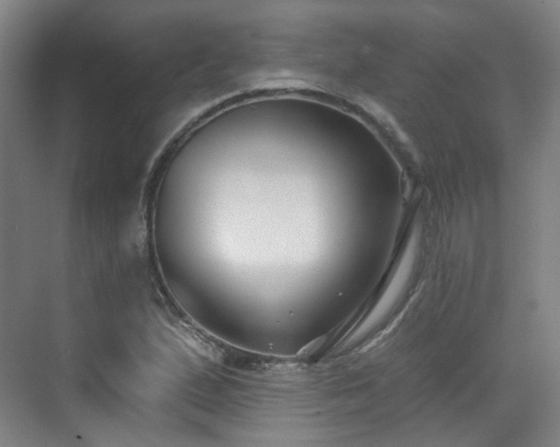 X0000070241167200606091327