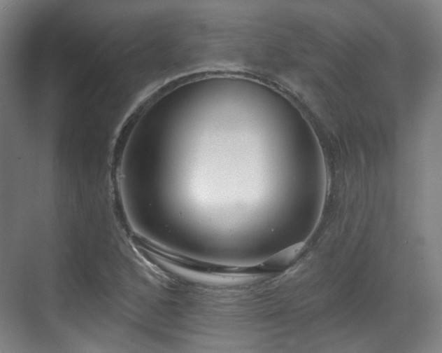 X0000070241168200606091327