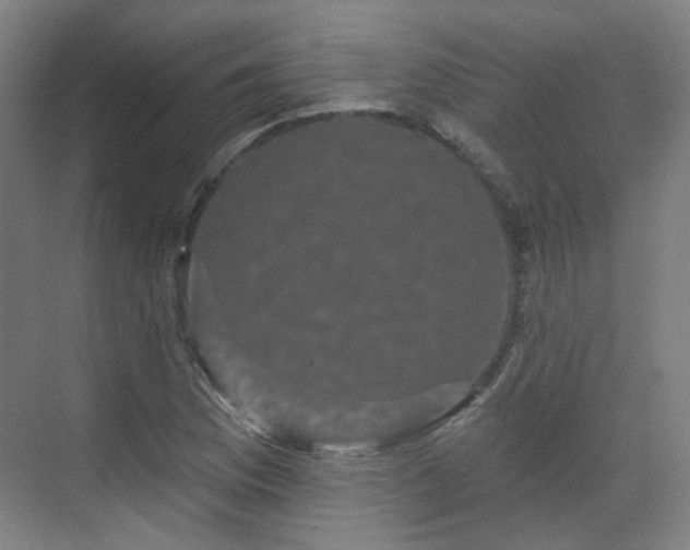 X0000070241169200606091327