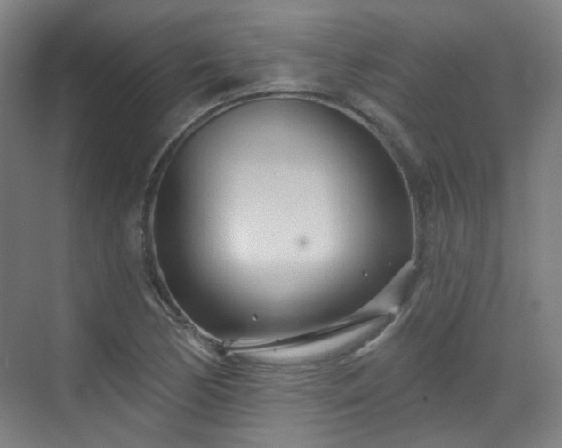 X0000070241170200606091327