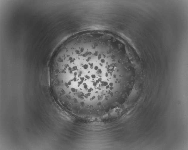 X0000070241171200606091327