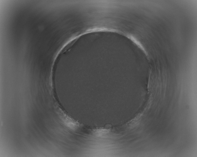 X0000070241173200606091327