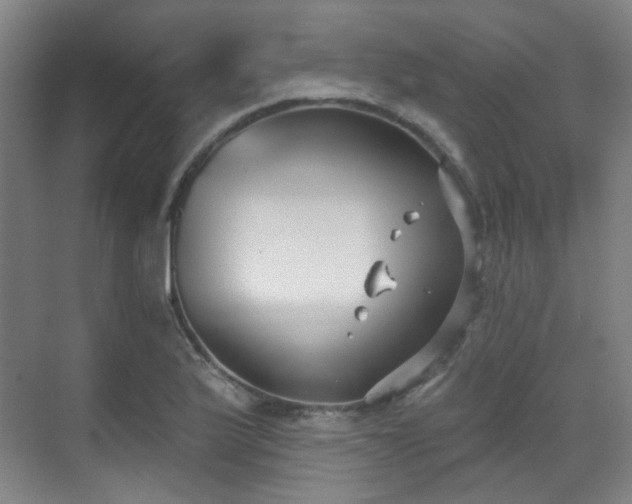 X0000070241175200606091327