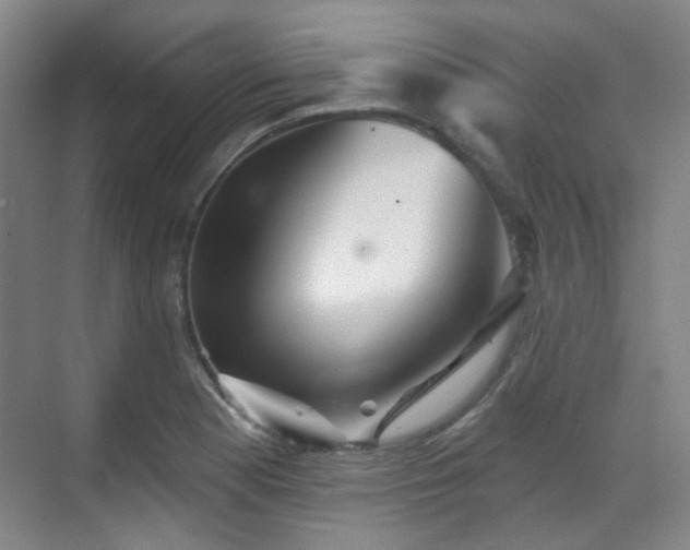 X0000070241177200606091327