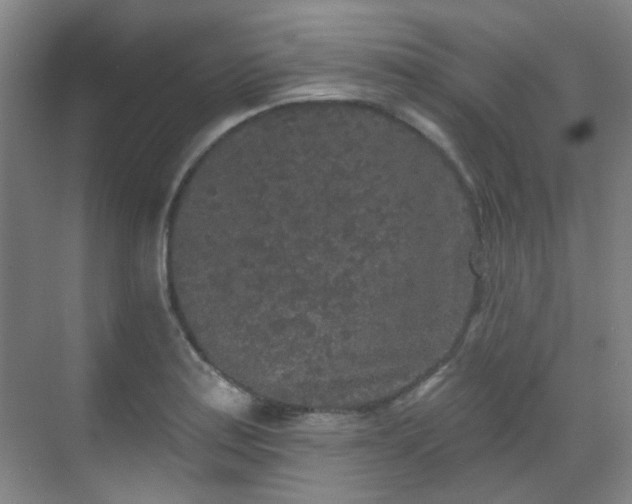 X0000070241179200606091327