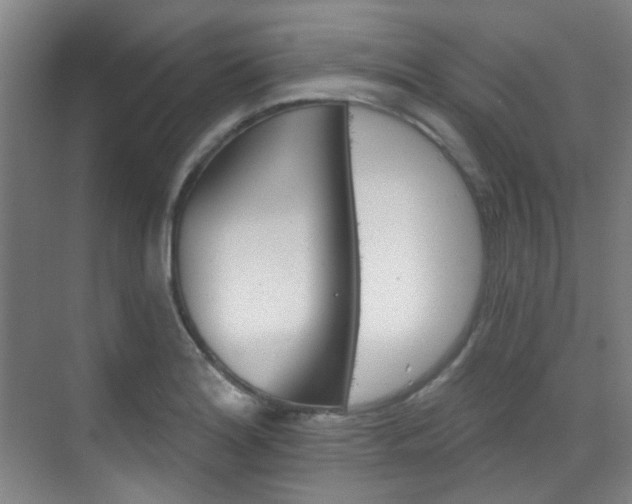 X0000070241180200606091327