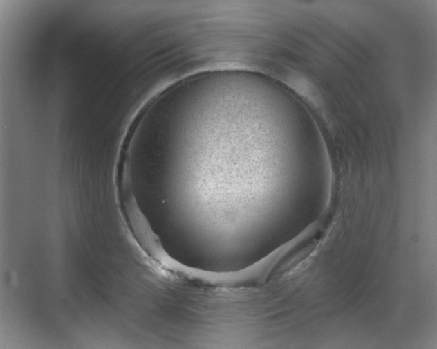 X0000070241181200606091327