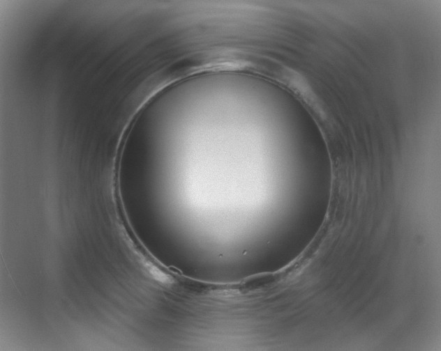 X0000070241186200606091327