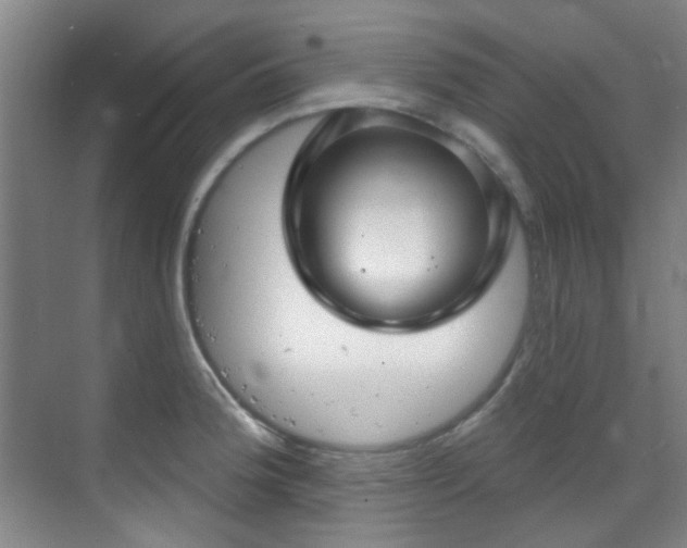 X0000070241188200606091327