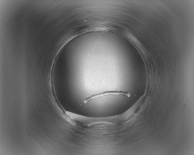 X0000070241194200606091327