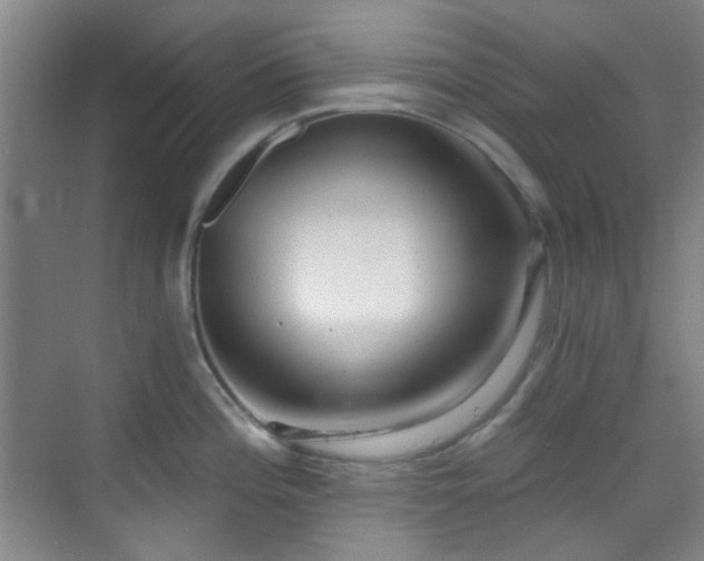 X0000070241196200606091327