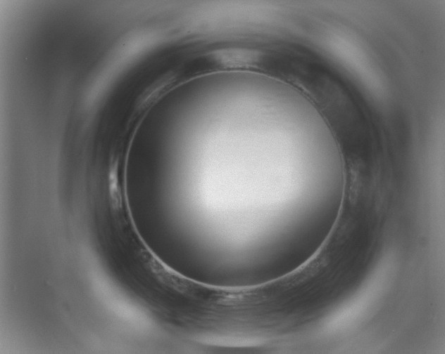 X0000070241198200606091327