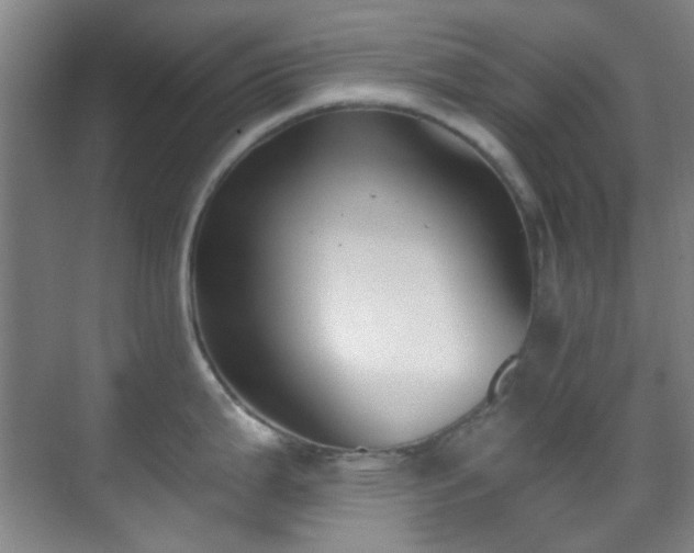 X0000070241199200606091326