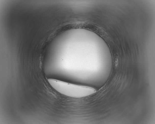 X0000070241204200606091326