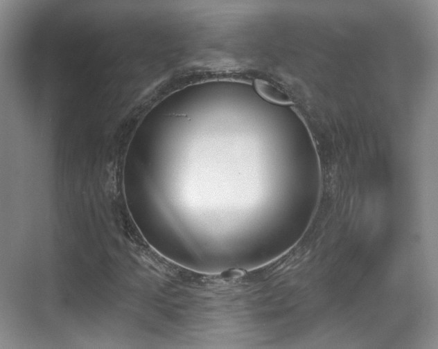 X0000070241205200606091326