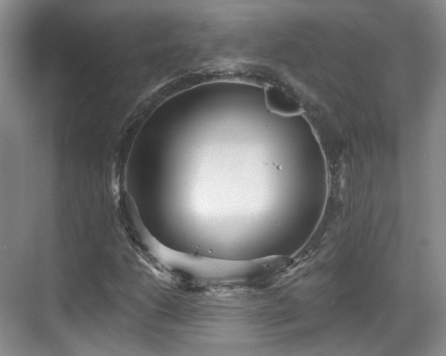 X0000070241206200606091326