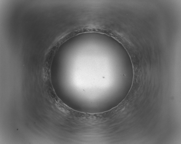 X0000070241207200606091326