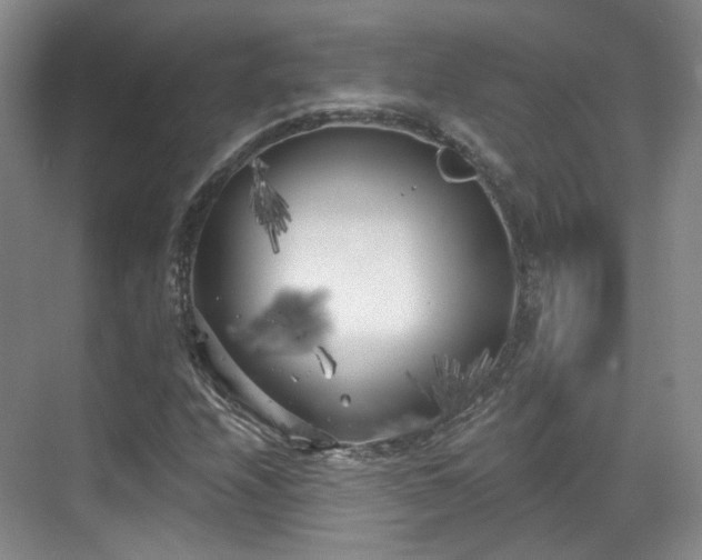 X0000070241208200606091326