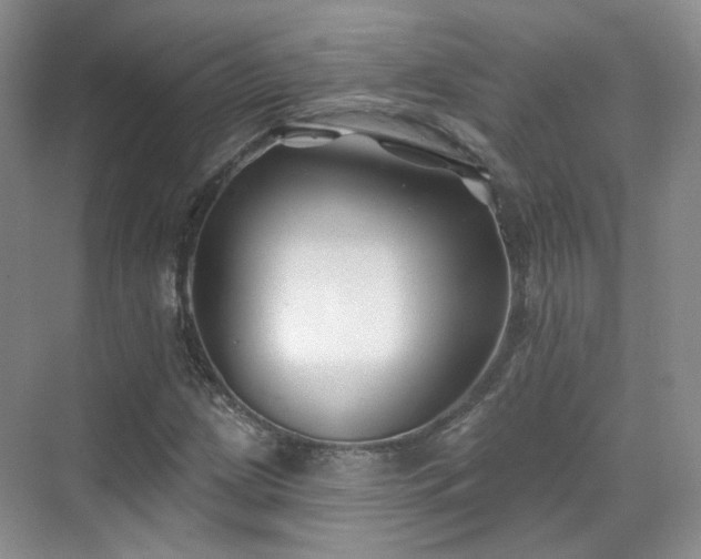 X0000070241209200606091326