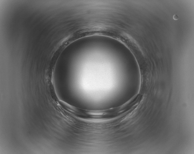 X0000070241210200606091326