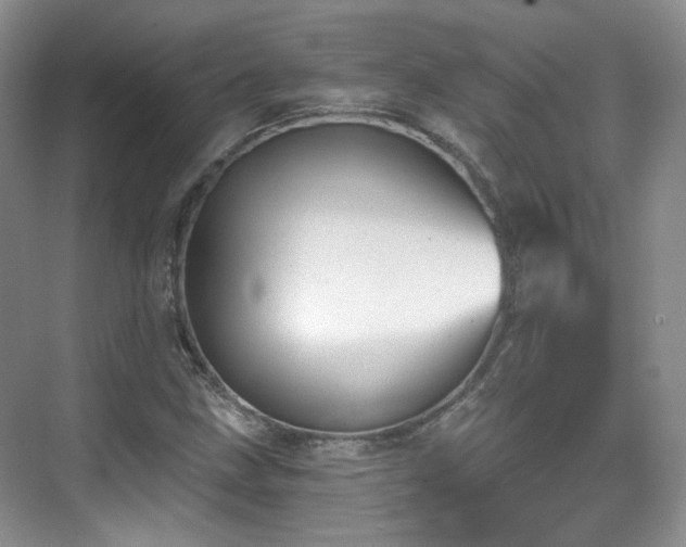 X0000070241211200606091326